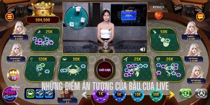 Một số điểm ấn tượng chỉ bắt gặp được tại bầu cua Tyboi